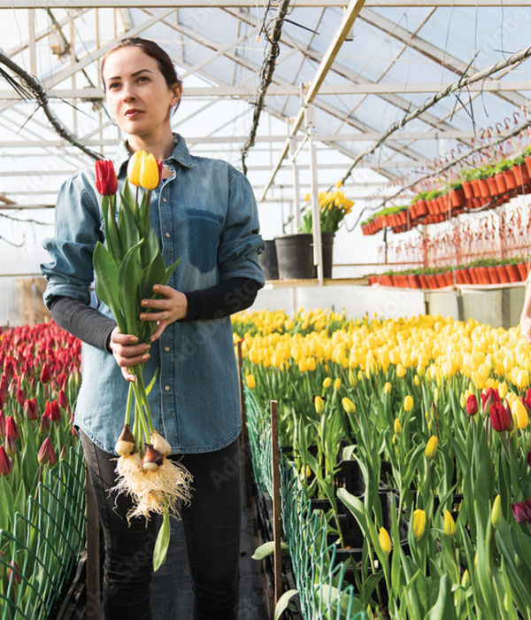 Vrouw, werkzaam in de open teelten
