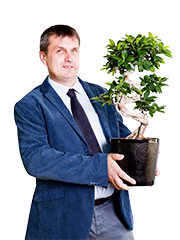 Adam, werkzaam abflexkracht