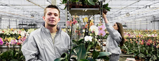 Tuinbouwmedewerker met orchideeën in een kas, een uitzendkracht.