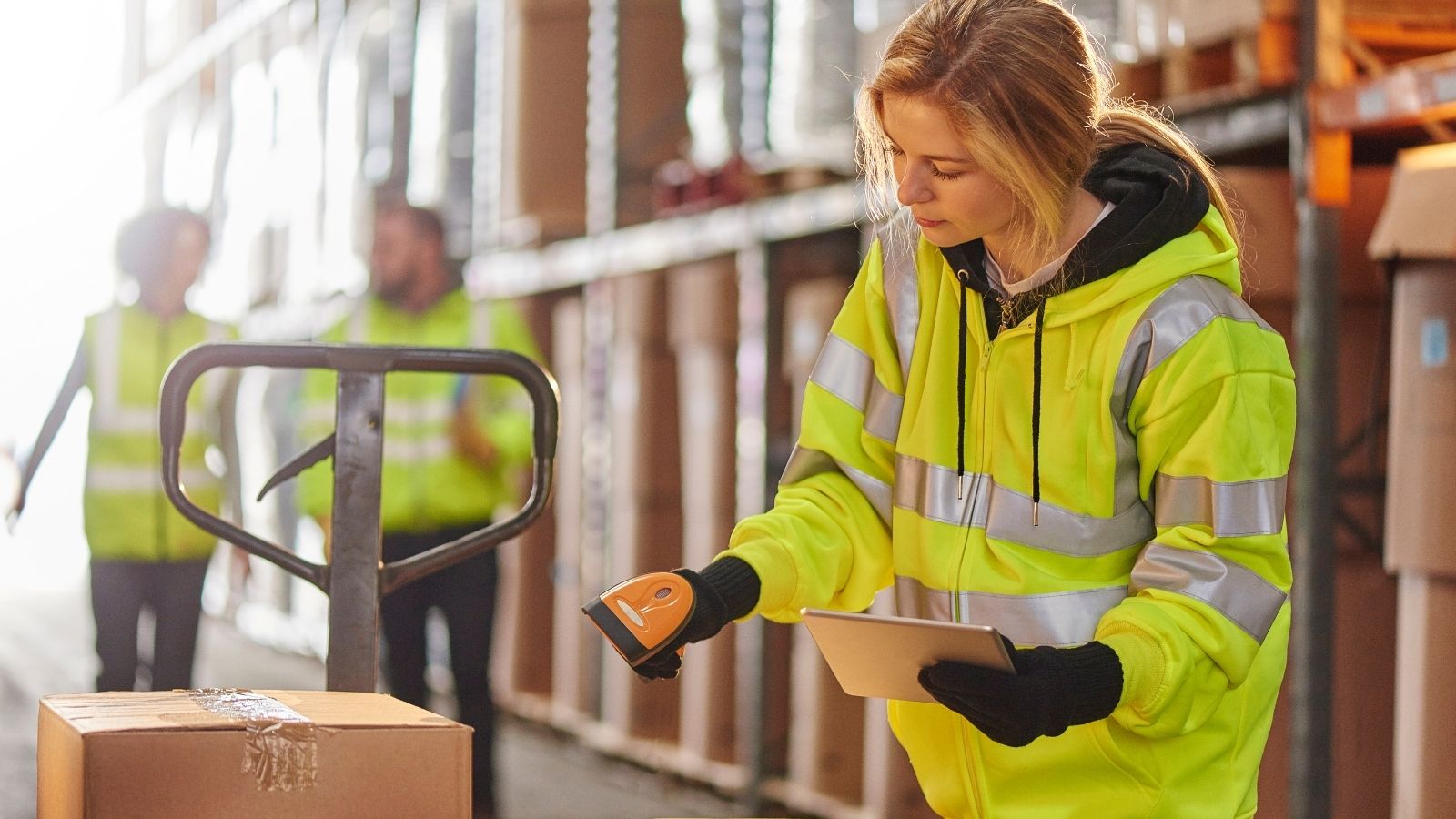 Jobs in the Netherlands for Women